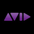 Avid Logo