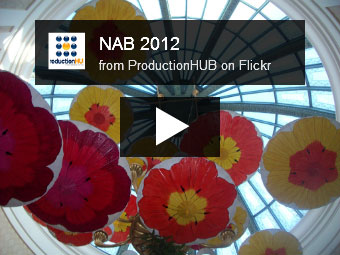 Flickr Stream
